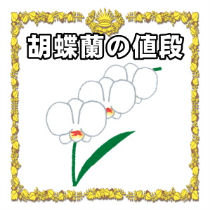 開店祝いの胡蝶蘭の値段の相場や色の意味や本数の意味を解説