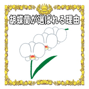 開店祝いに胡蝶蘭が選ばれる理由など花言葉やメリットを解説
