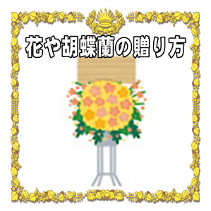 花や胡蝶蘭の贈り方